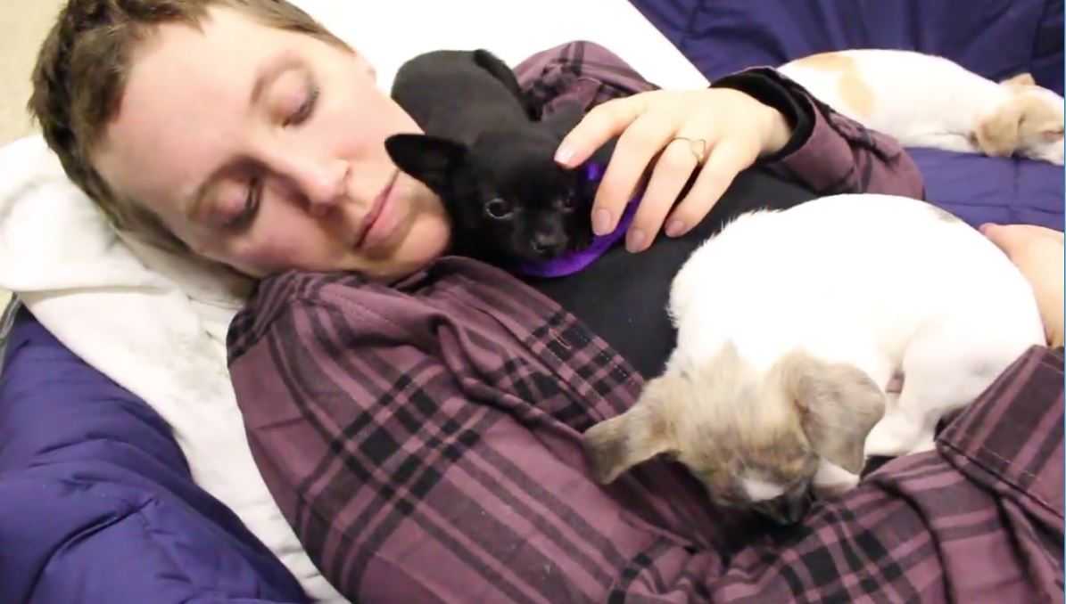 Sacramento puppies lift spirits of woman battling cancer