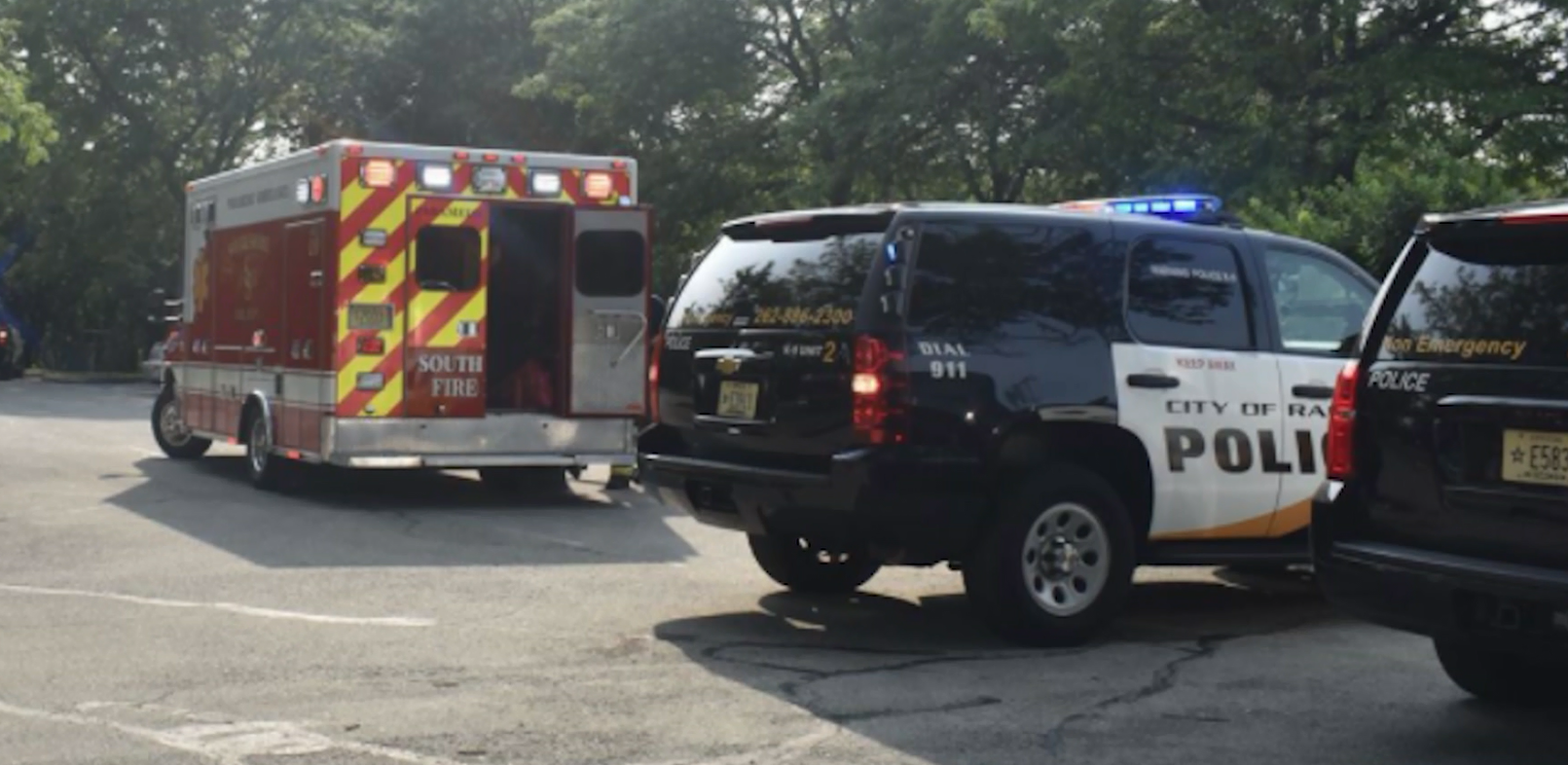 Good Samaritan jumps in lake to save man