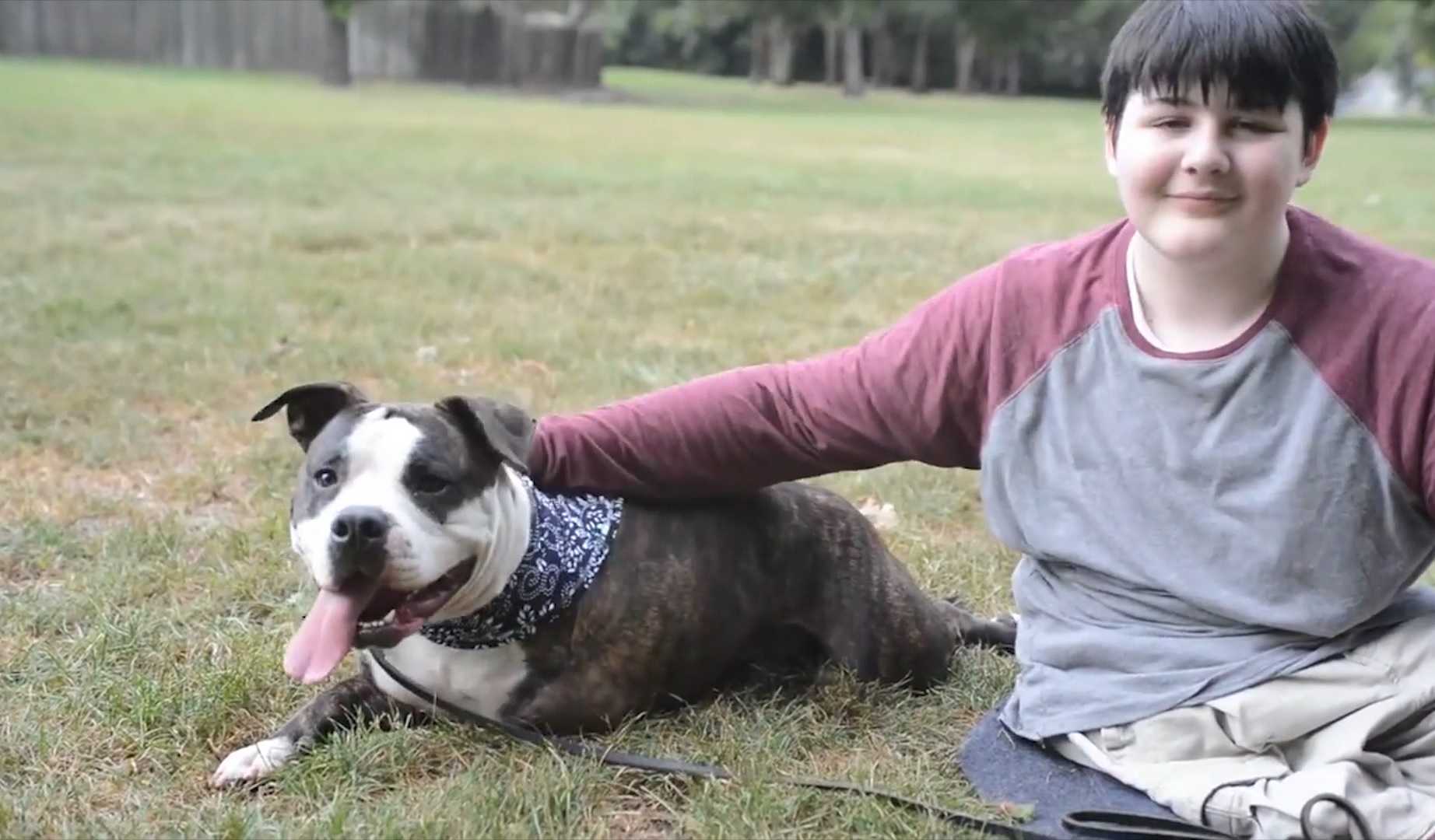 Boy who lost leg to cancer creates unbreakable bond with 3-legged dog