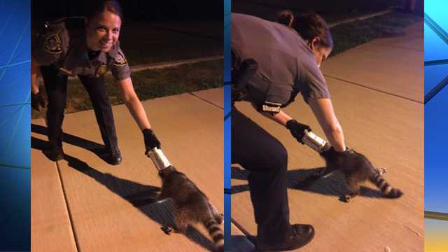 OKC officer rescues raccoon with head stuck in metal can