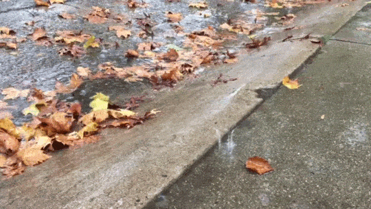 Rain, snow are here to NorCal: Take a look at the timing