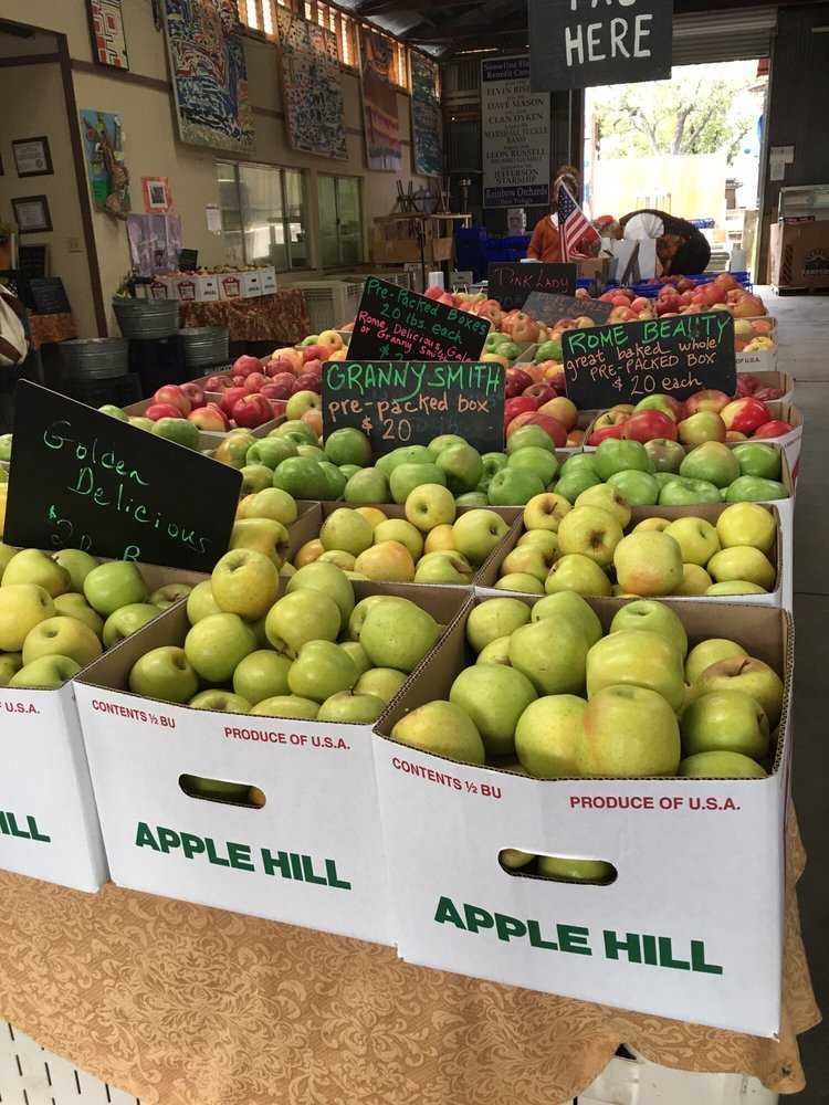 Yelp 3 Spot: Apple Hill spots to see