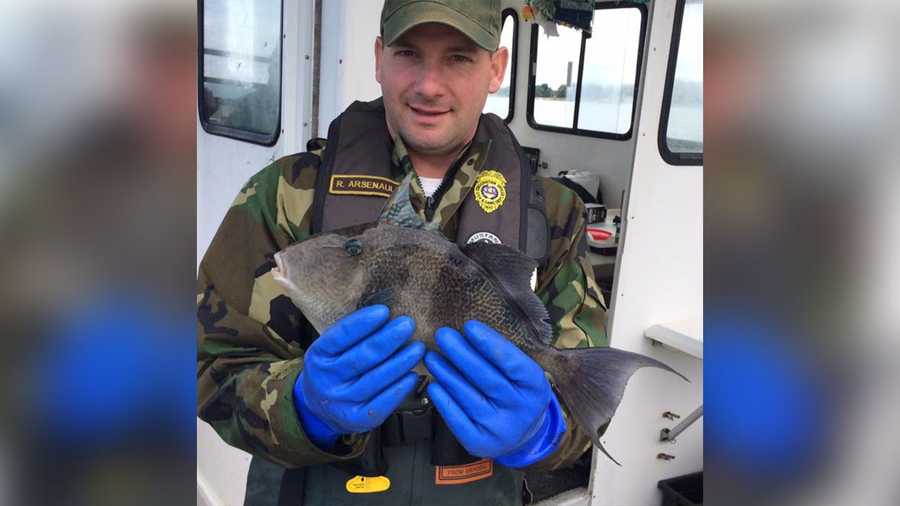 Rare fish caught in lobster trap off NH Seacoast