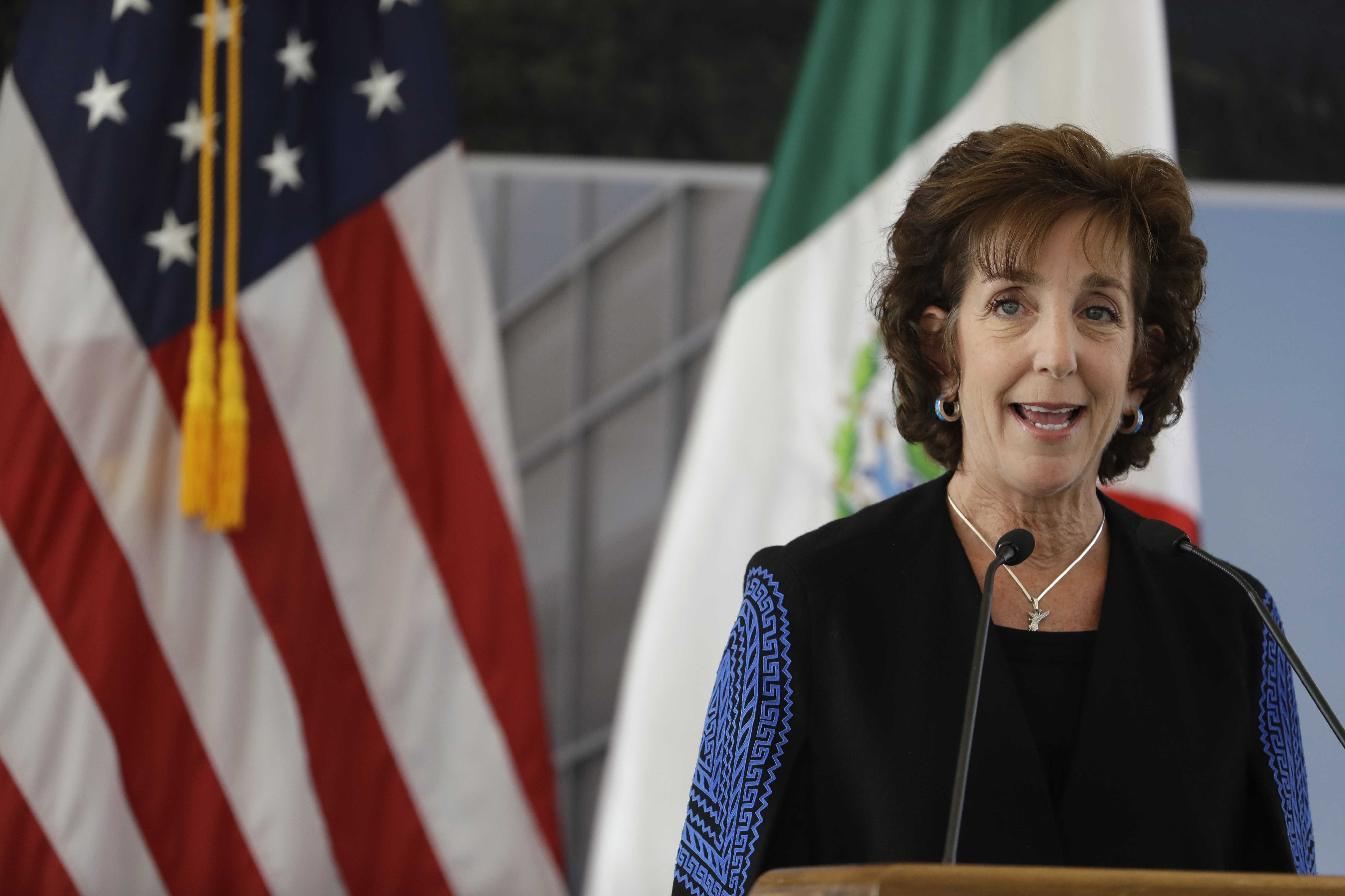 US ambassador to Mexico announces resignation with tweet saying 'We are stronger together'