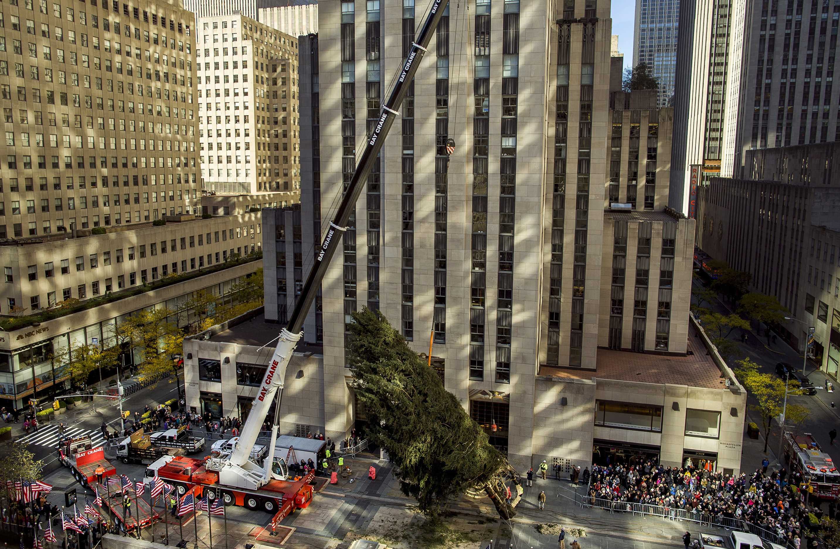 Rockefeller Center Christmas tree arrives in NYC