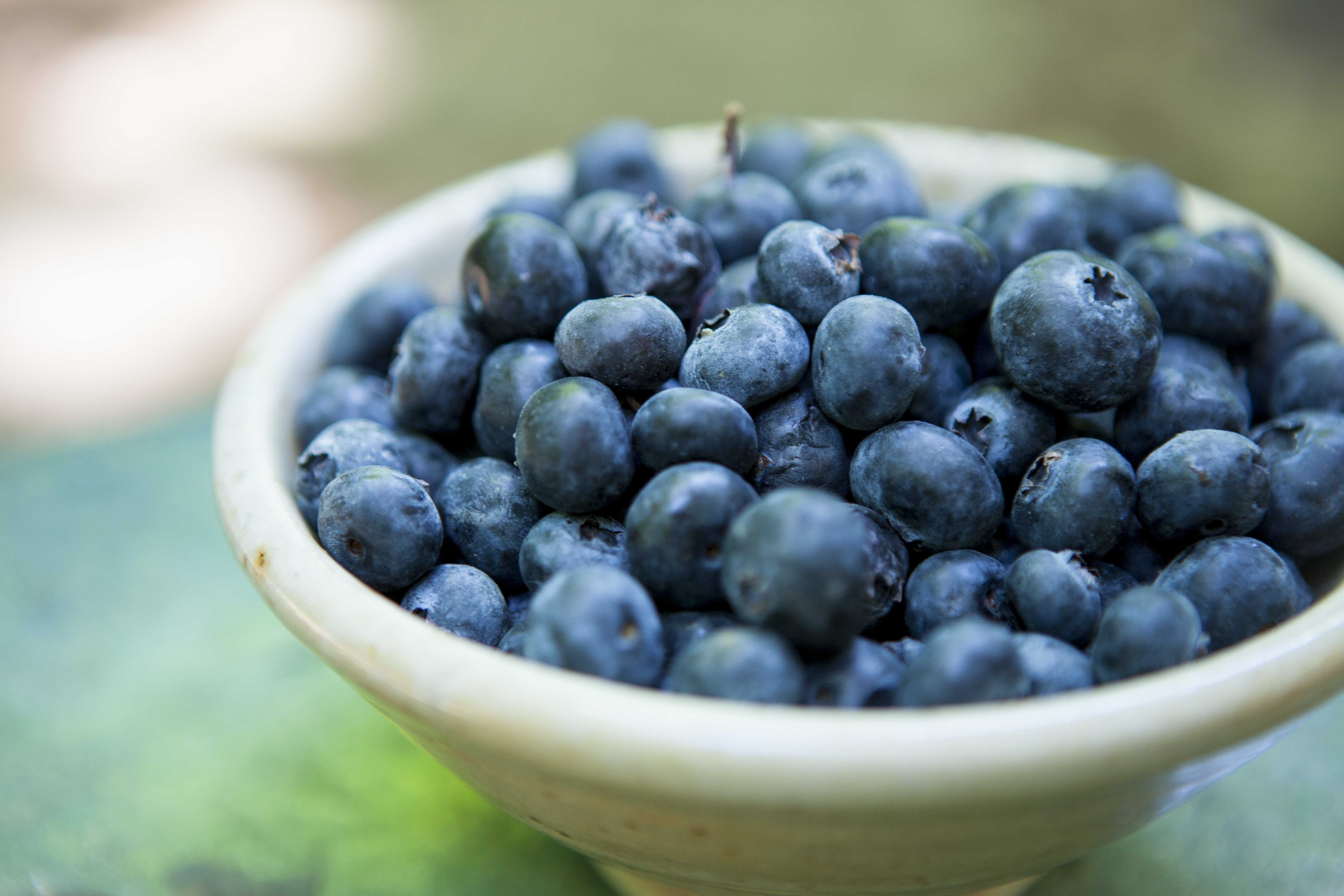 Some foods better for your brain, memory