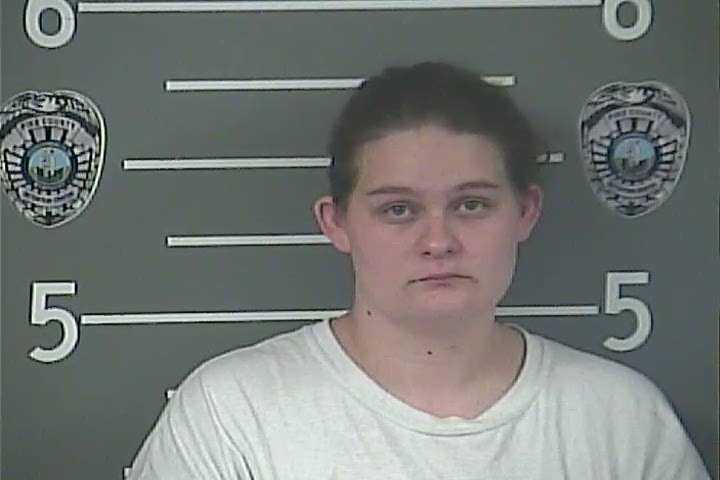 Kentucky Girl Scout leader accused of stealing $26000 in cookies