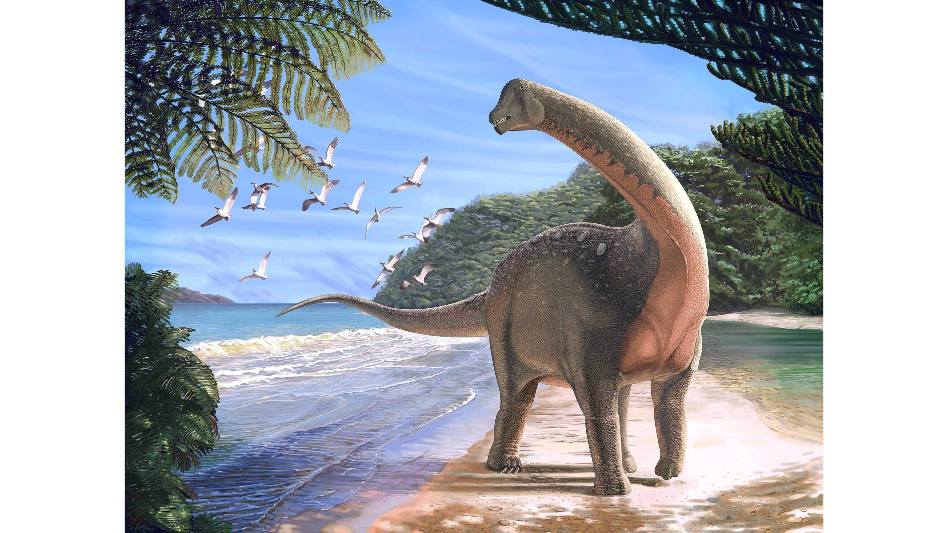 Study suggests​ asteroid might have done more than wiping out dinosaurs