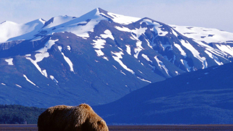 It was warmer in Alaska today than Louisville - WLKY Louisville