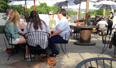 This mom mistook a leather purse for a dachshund puppy