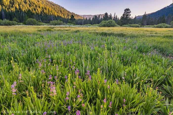 'Secret garden' near Truckee opens after 100+ years