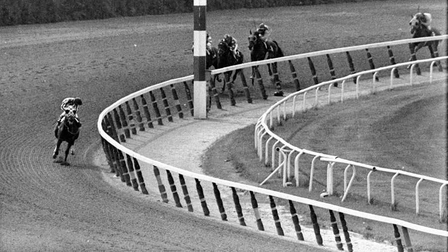 secretariat-1973-1494026606.jpg