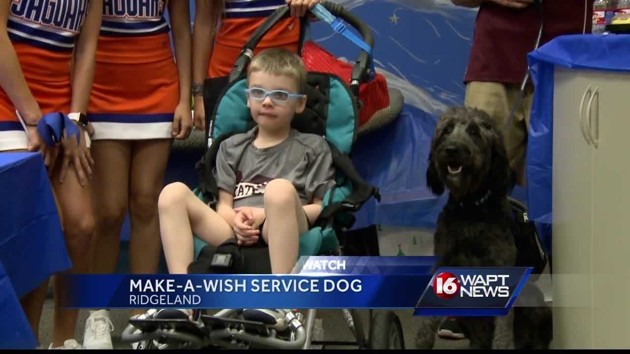 Make-A-Wish helps 5-year-old get service dog