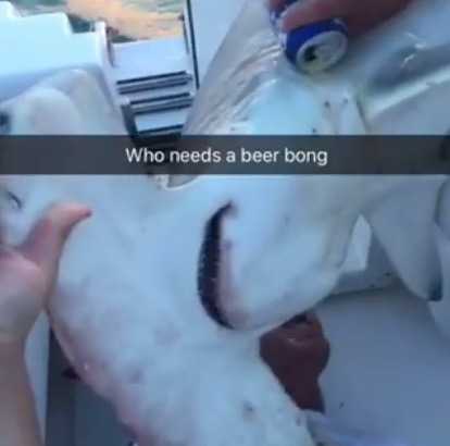 Man in shark-dragging video asks for increased police patrols Man in shark-dragging video asks for increased police patrols