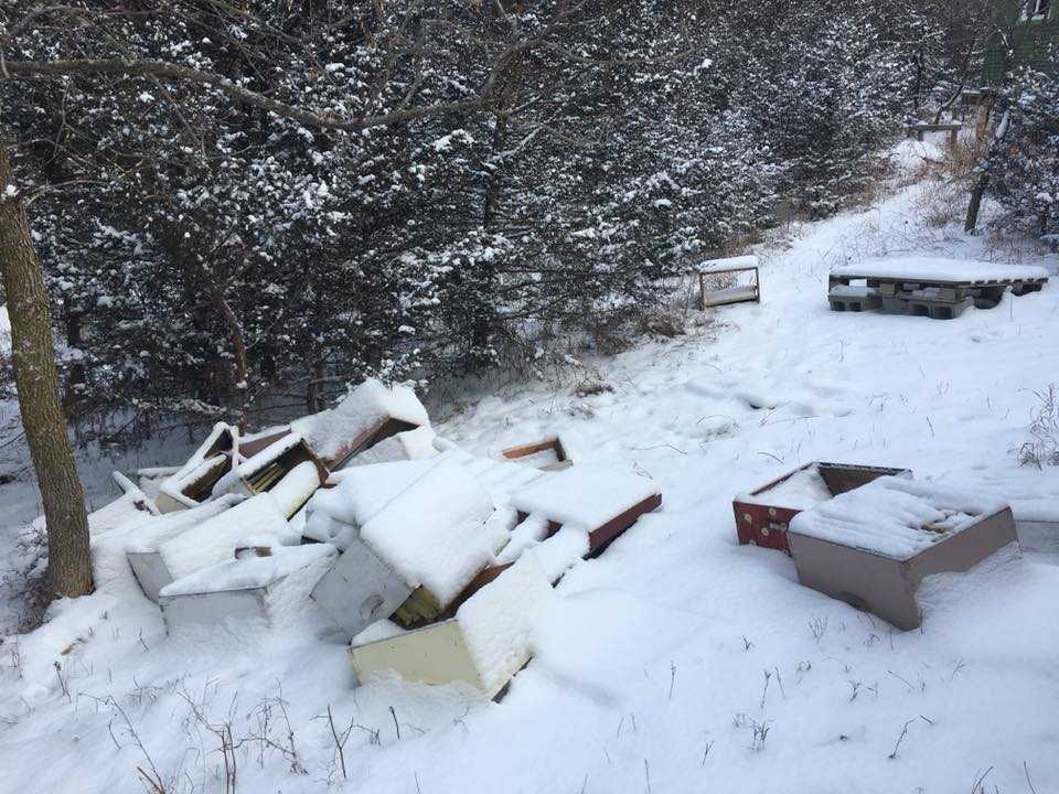 Vandals topple dozens of beehives, killing estimated 500K bees