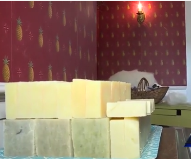 Alpaca soap? Yes, it's a thing and made right here in Maine