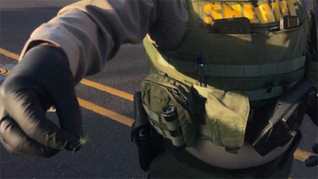 Deputy removes creepy spider from 'hysterical' driver’s dashboard