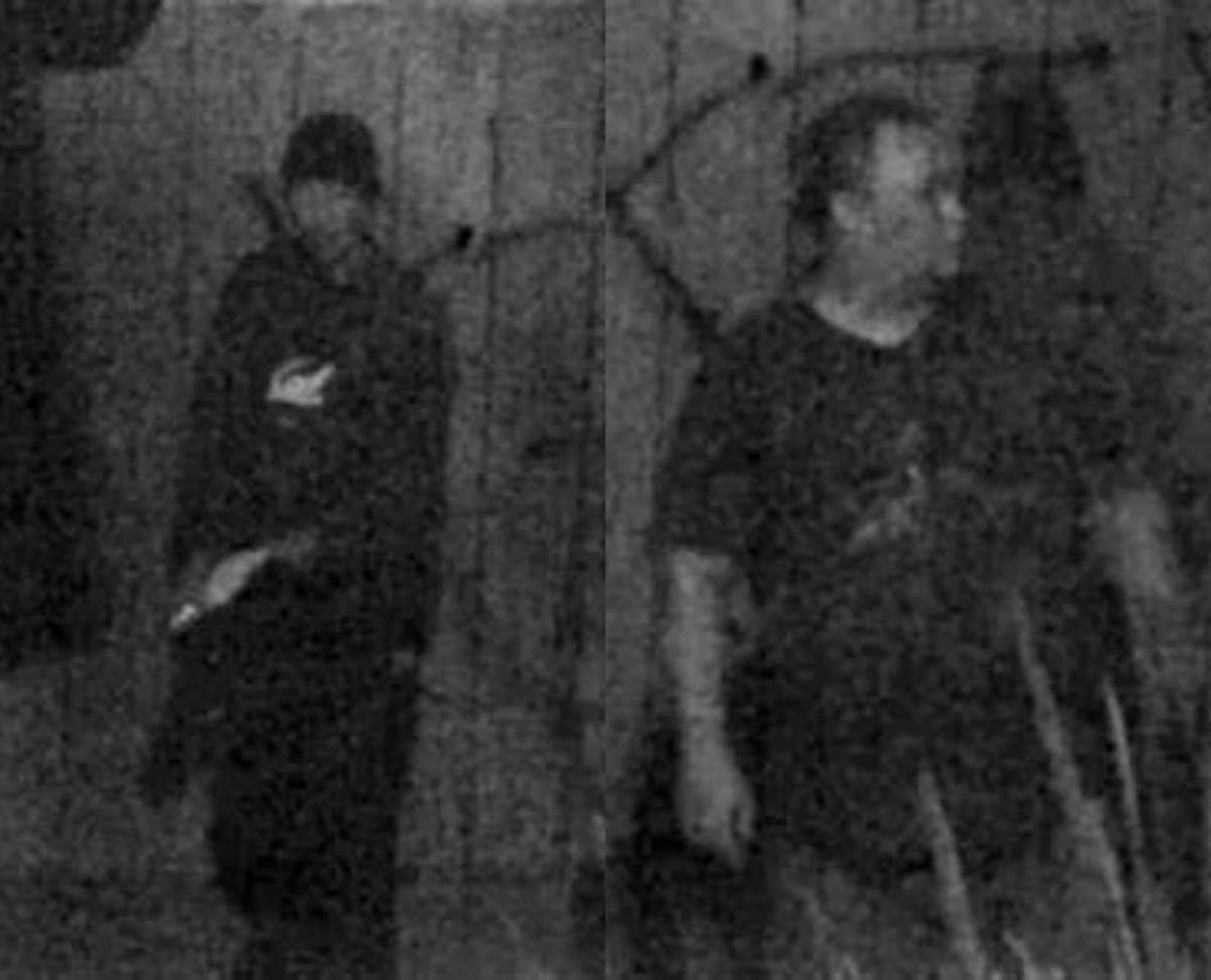 WANTED: Police seek help in finding hate-related vandals
