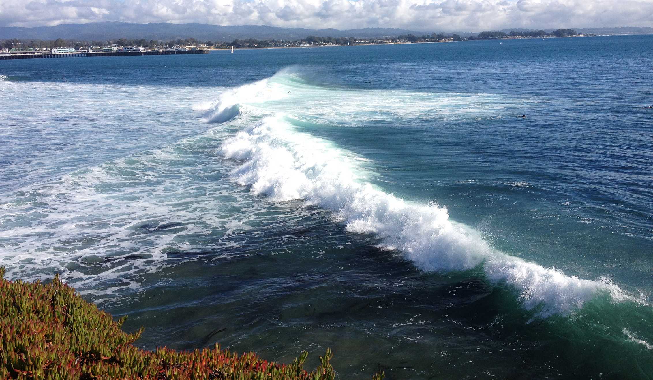Kayaker uninjured in Santa Cruz shark attack Kayaker uninjured in Santa Cruz shark attack