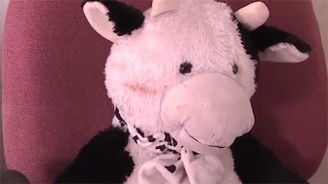 Stuffed animal saves toddler who fell two stories