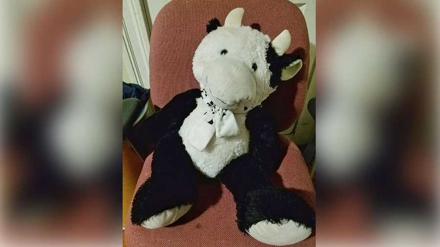 Stuffed cow saves 2-year-old who fell out of window