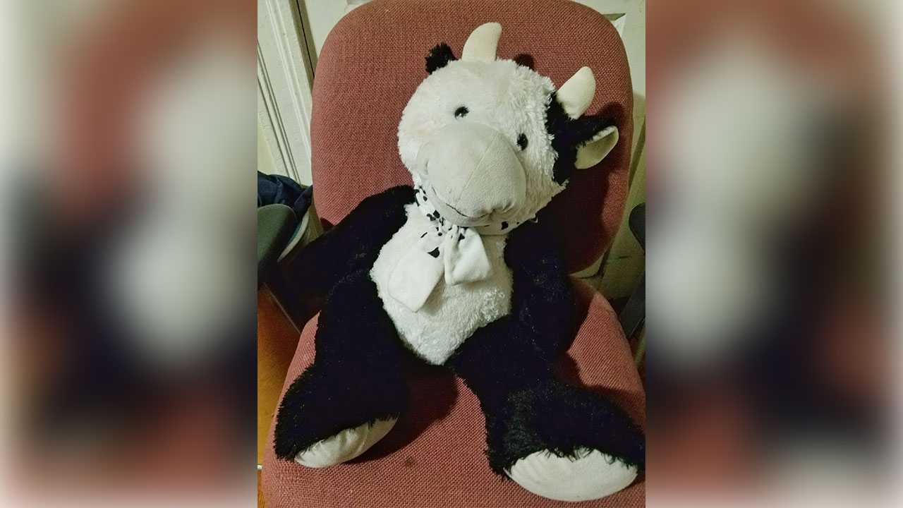 Stuffed Cow Saves 2-Year-Old After He Tumbles Out Window Stuffed Cow Saves 2-Year-Old After He Tumbles Out Window