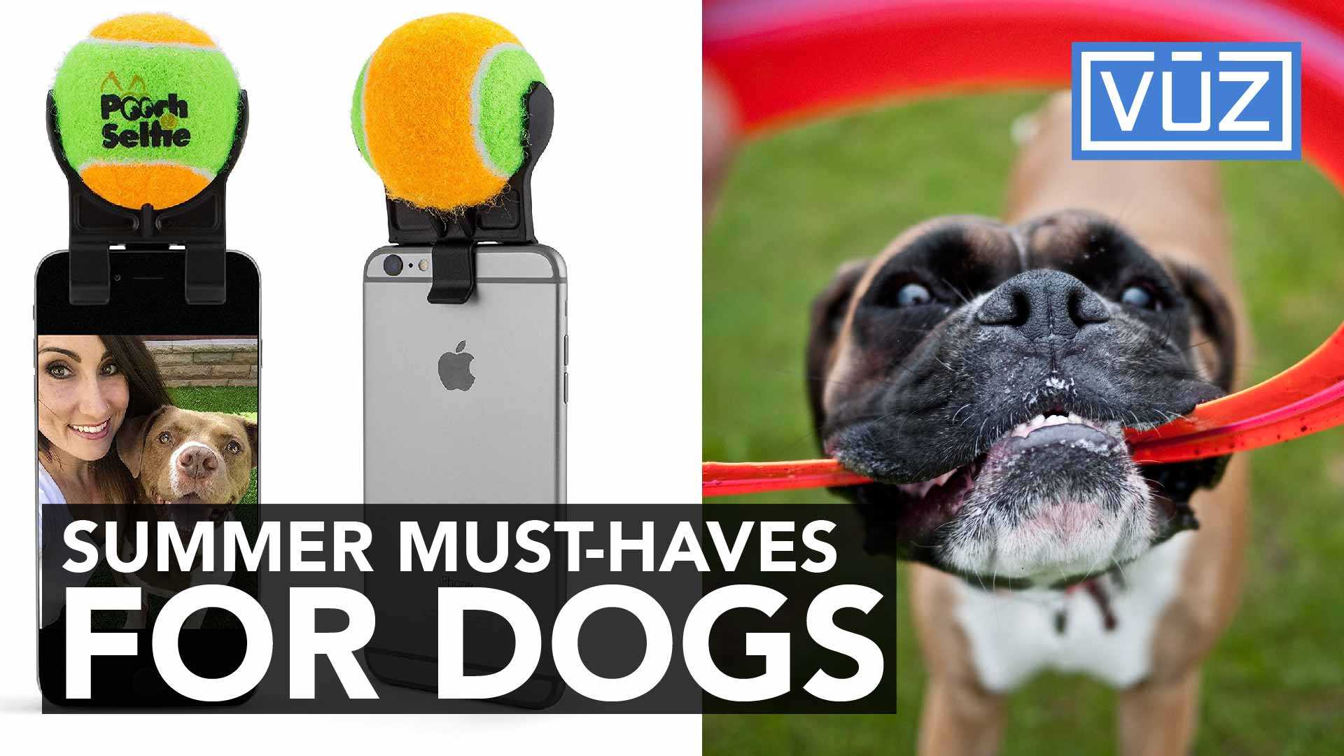 These summer dog products will have tails wagging