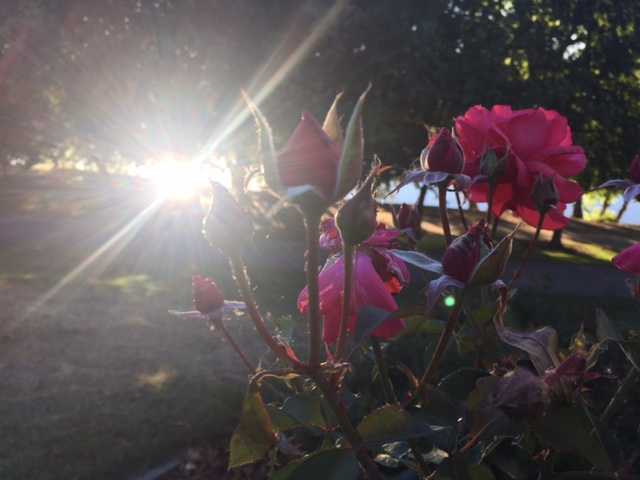 3 things to keep in mind during the heat wave