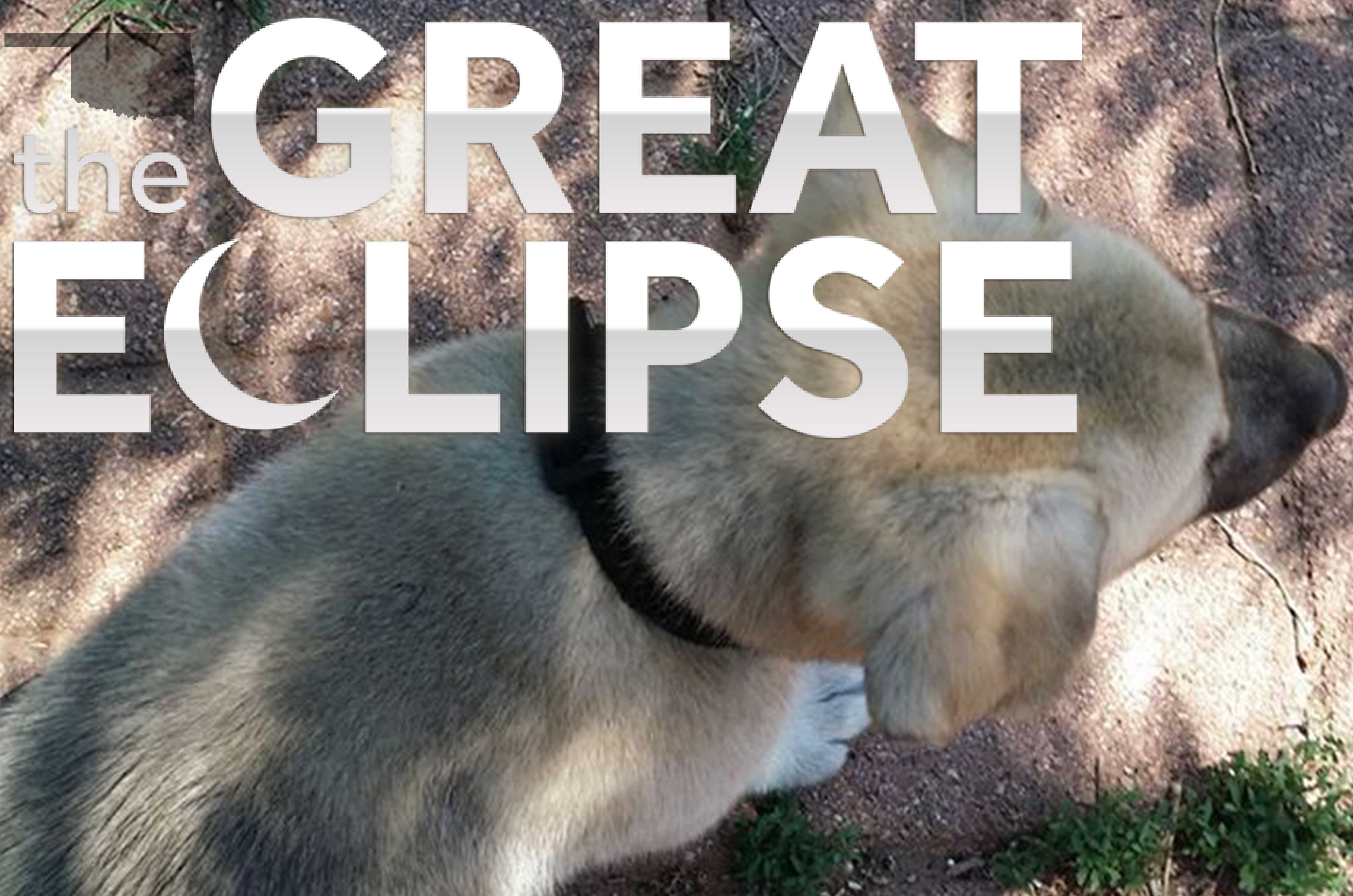 Gallery: KOCO 5 viewers share photos of 'eclipse shadows'