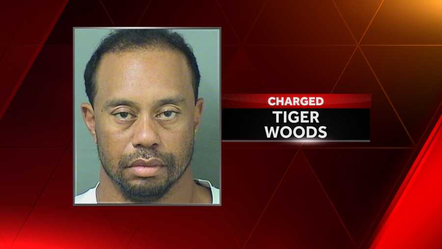 More Details Of Richies Dui Arrest more details released in tiger woods dui arrest More Details Of Richies Dui Arrest more details released in tiger woods dui arrest
