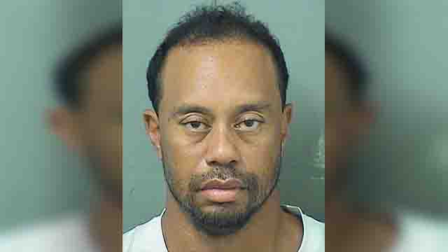 Tiger Woods Pleads Guilty Tiger Woods Pleads Guilty