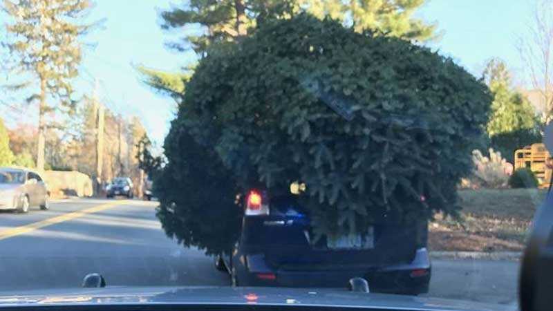 Local firefighters offer several Christmas tree safety tips Local firefighters offer several Christmas tree safety tips