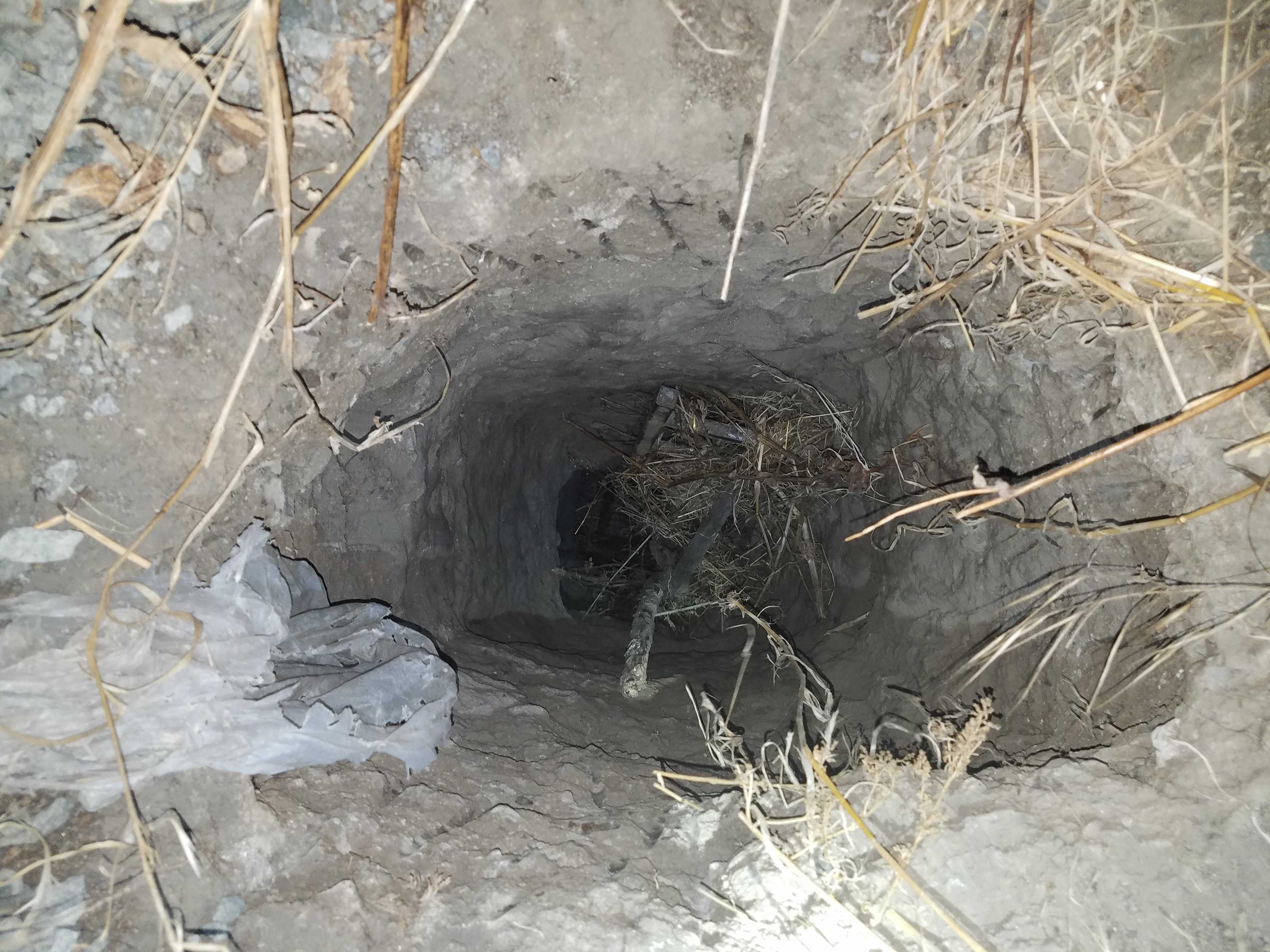 Illegal immigrants arrested after authorities discover cross-border tunnel