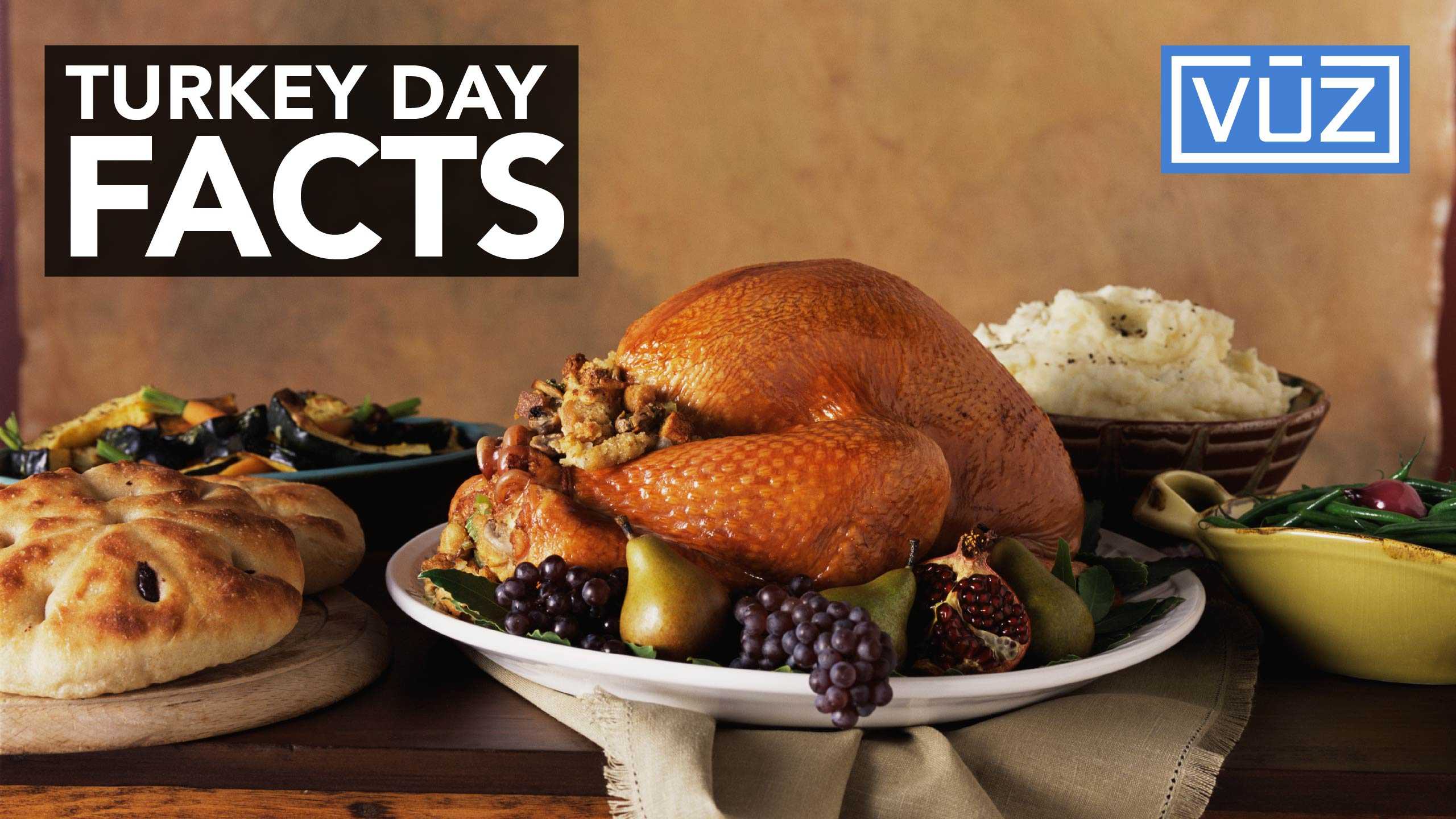 Things you may not know about Thanksgiving