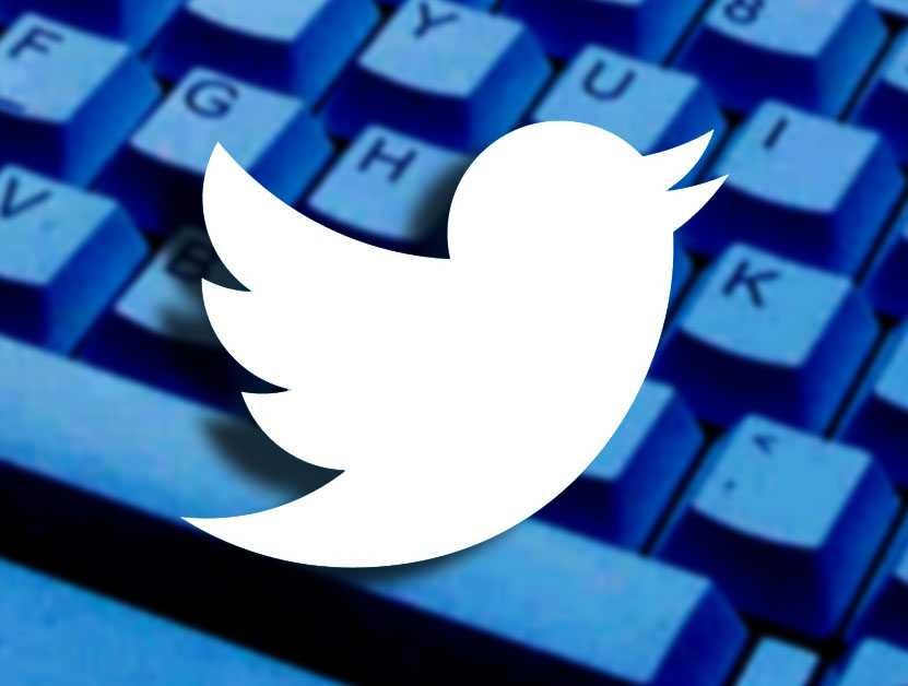 Number of Twitter users hits plateau