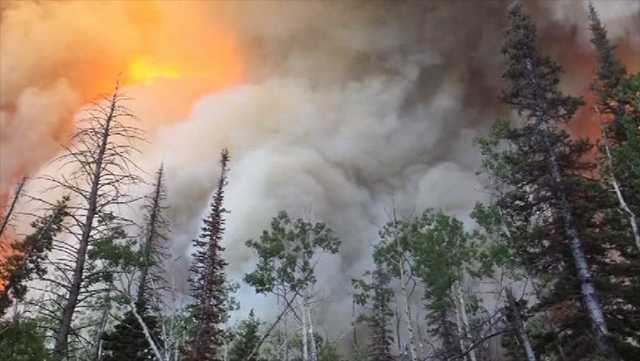 Nearly 1,000 firefighters battle Utah wildfire, 1,500 people evacuated