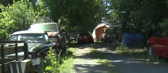 Police: Dog that mauled 2 kids in car seats to be euthanized