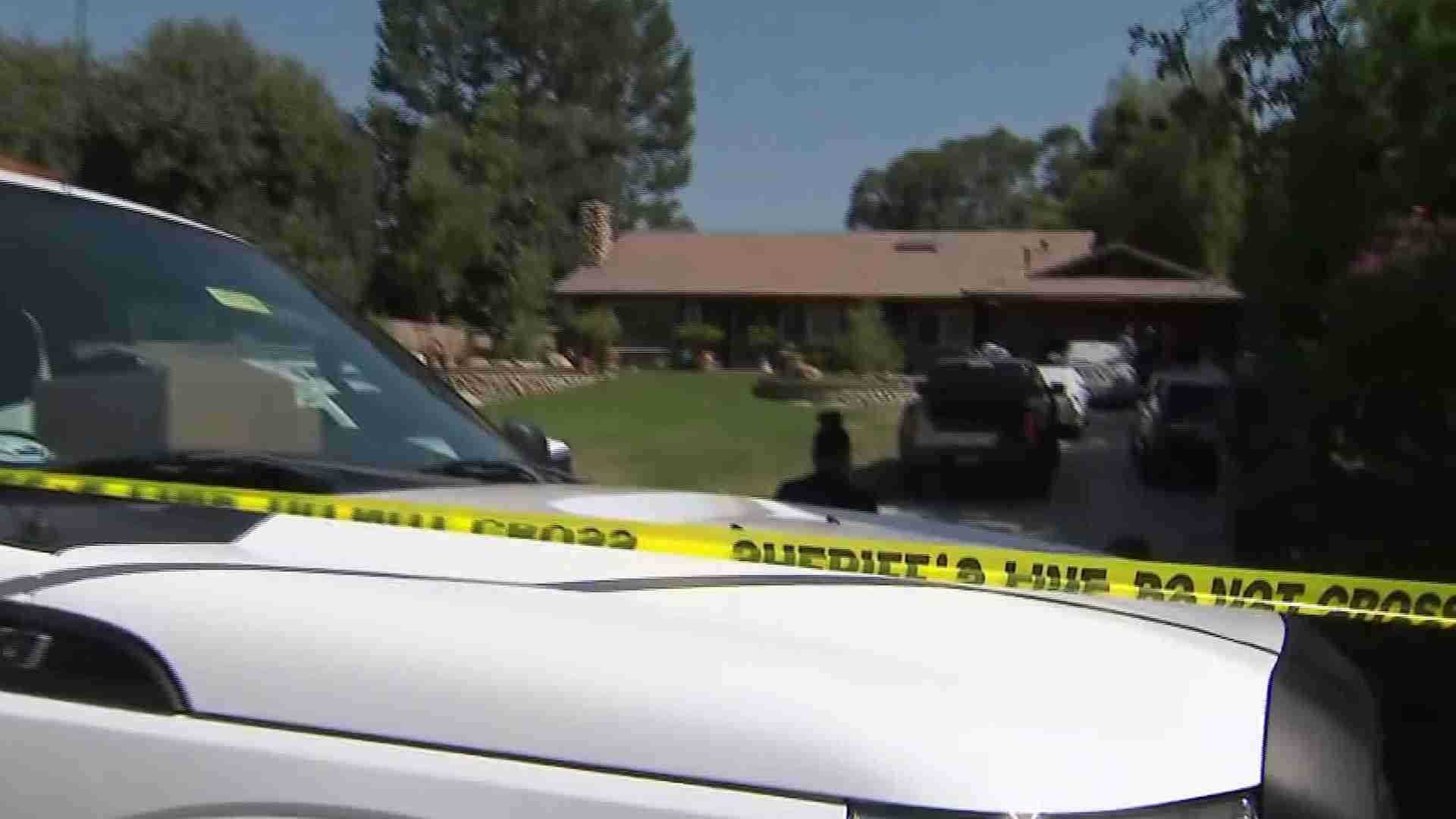 Authorities find scores of venomous snakes, 8 alligators at home, rural property