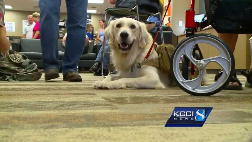 Veteran told to pay $10K for dog, so he went somewhere else