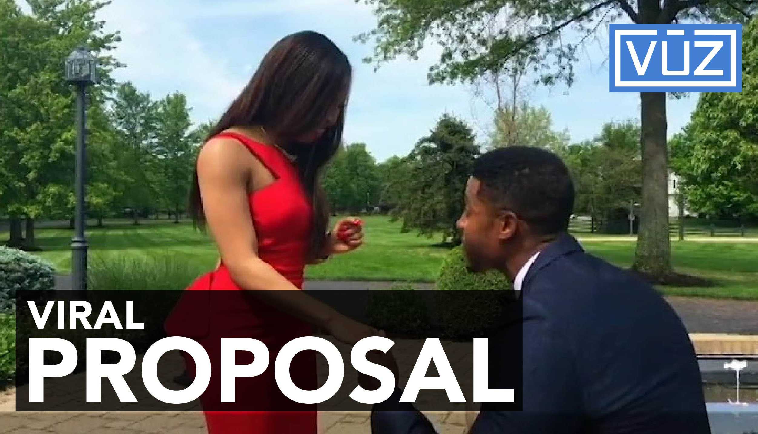 Couple's elaborate engagement goes viral