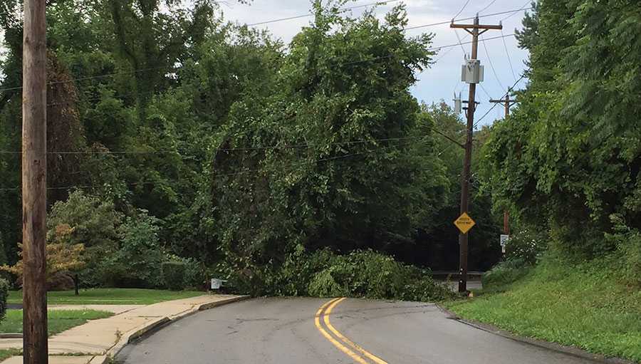 Severe Thunderstorm Watch remains in effect throughout Western Pennsylvania