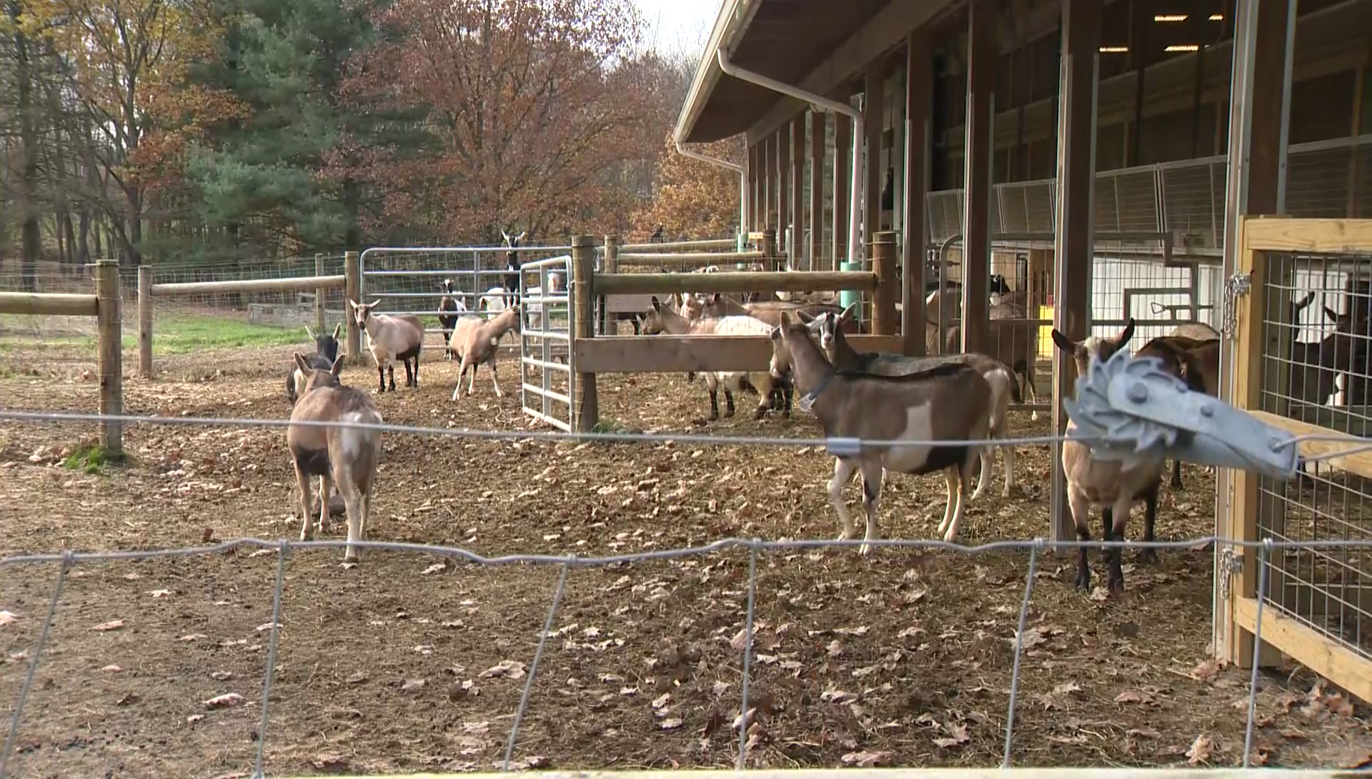 Farm owner fears Duquesne Light's plan to build transmission lines could destroy property