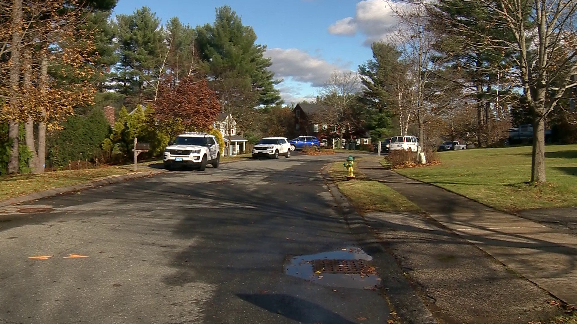 'Aggressive' Amesbury Pit Bull Located After Attacking Police