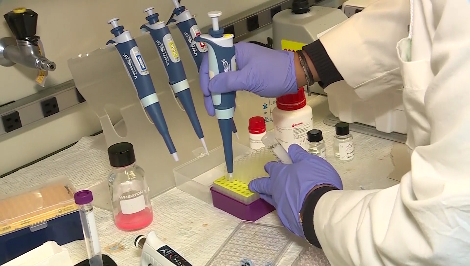 Allegheny County Lead Task Force makes public health recommendations