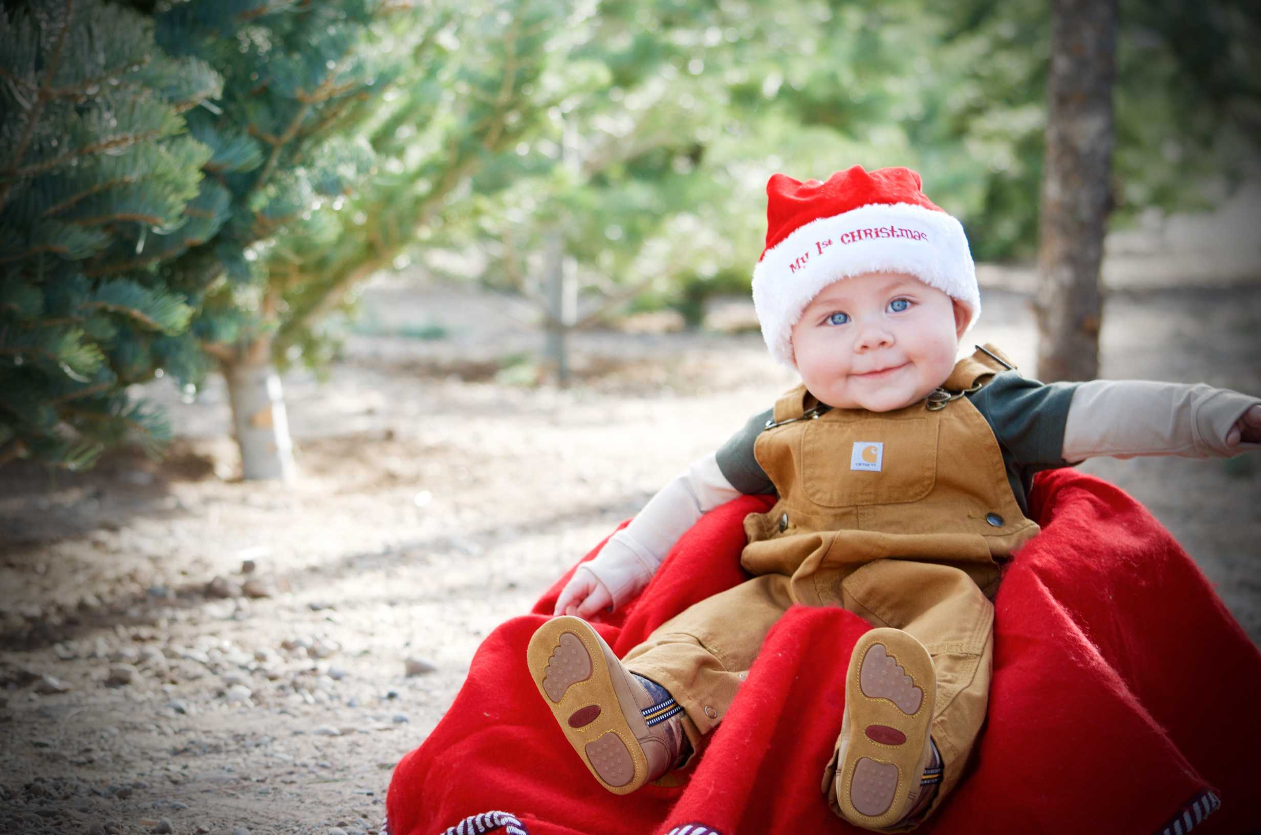 Families share their favorite holiday traditions