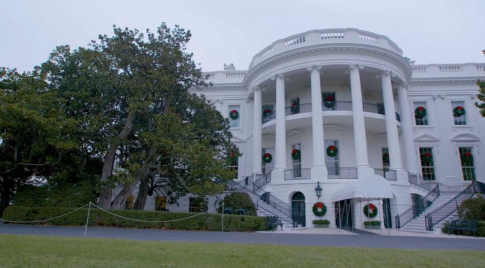 Iconic White House tree to be cut down