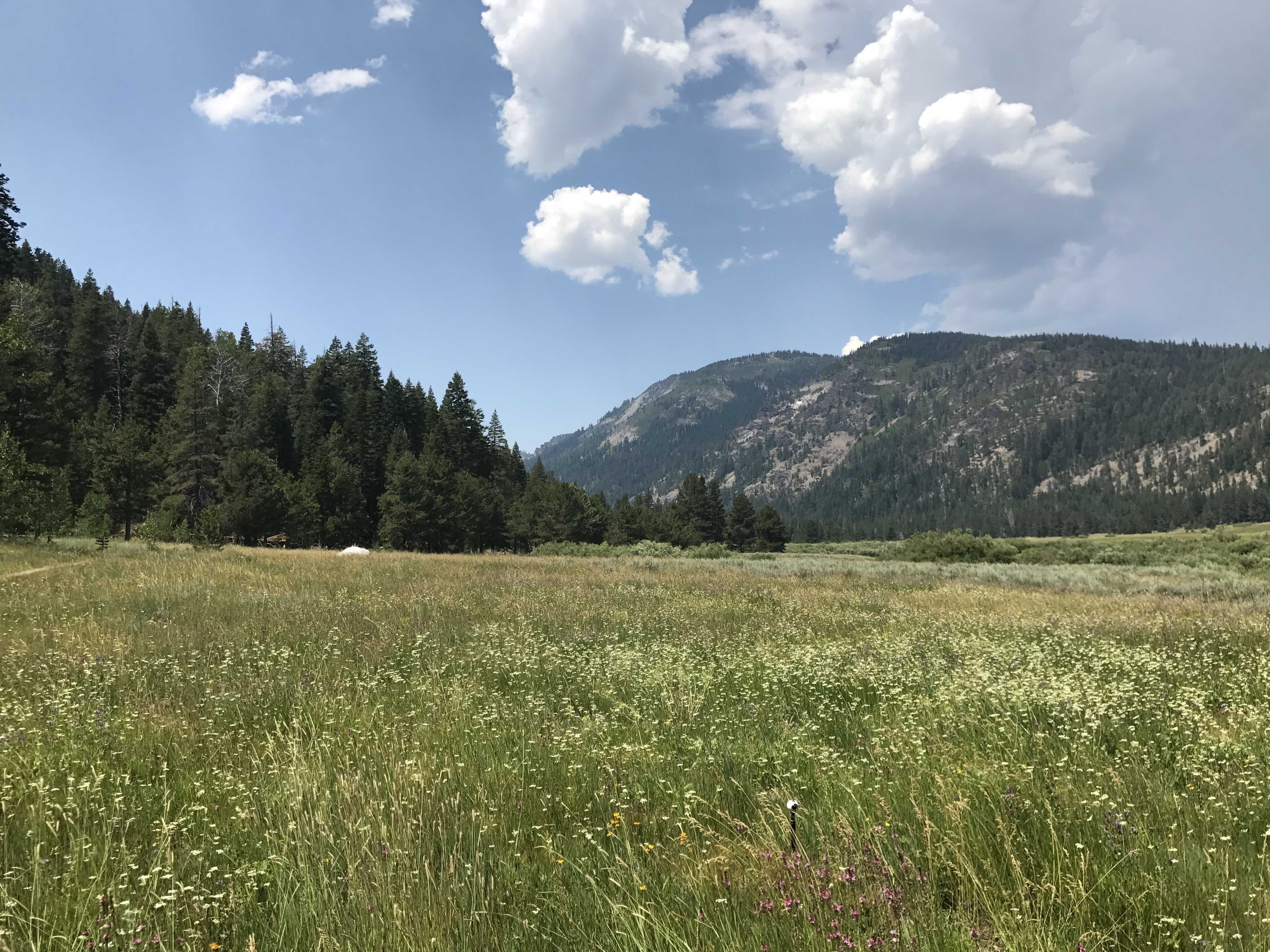 7 things to know about Truckee’s ‘Secret Garden’