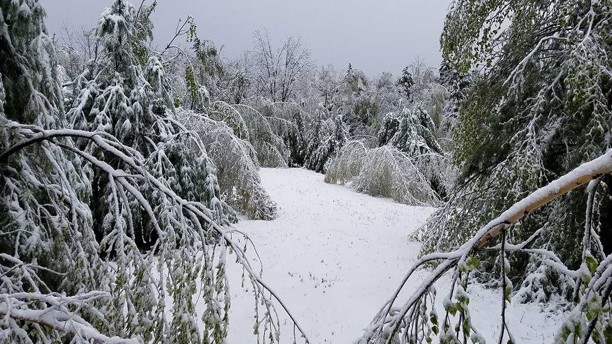 Did It Snow In Nh