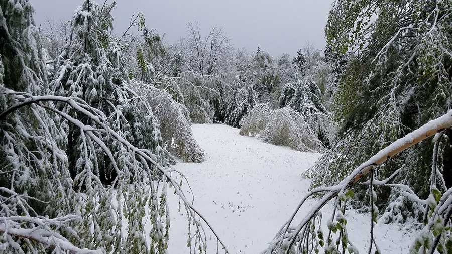 why-did-it-snow-in-new-hampshire-mother-s-day-morning