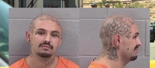 Police chief frustrated repeat offender was released from jail